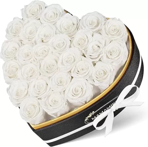 27 Preserved Roses in Heart Shape Gift Box for Her - Forever Flowers for Delivery, Eternal Rose Mothers Gifts for Mom, Wife Anniversary Birthday Gifts for Women, White