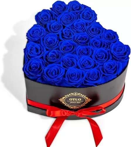 27 Preserved Roses in Heart-Shaped Box, Flowers for Delivery Prime Last up 2 Years, Real Forever Flowers for Wife, Girlfriend, Mother, Eternal Roses for Anniversary - Blue