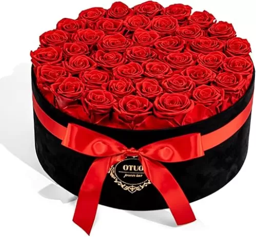 40 Real Preserved Roses in Suede Box Forever Roses Last Up to 3 Years, Flowers for Delivery Prime, Mother’s Day, Birthday, Christmas - Red
