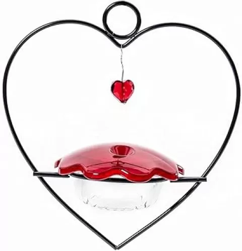 Birds Choice HHF Hummingbird Feeder, Heart-Shaped Bird Feeder, 3 Ounces, Red