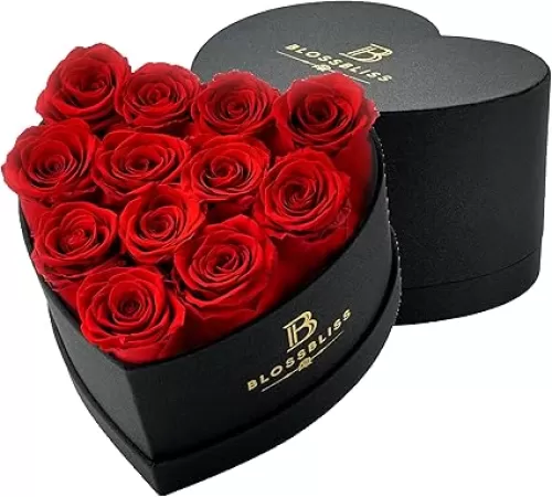 BLOSSBLISS 12-Piece Preserved Flower Red Rose in a Heart Shape Box, Forever Love Rose for Wife, Eternal Rose Gifts for Her, Valentine