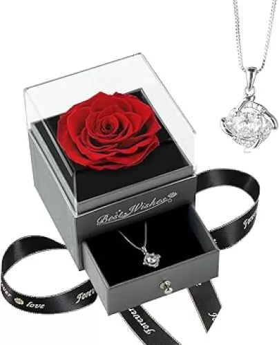 BLOSSBLISS Preserved Red Rose with Necklace, Eternal Flower Gift Set for Her, Birthday Gift for Women Wife Girlfriend - Christmas, Valentine