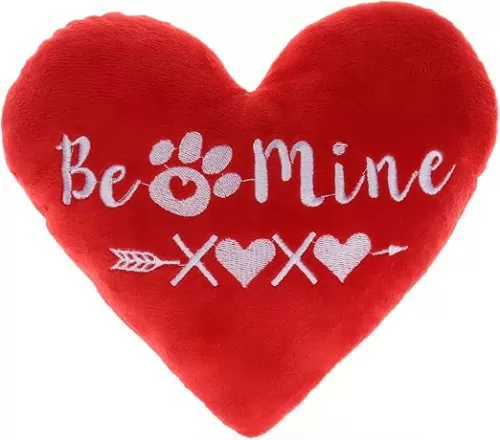 BoomBone Valentines Dog Toys, Red Heart Puppy Plush Toy for Small Medium Dogs