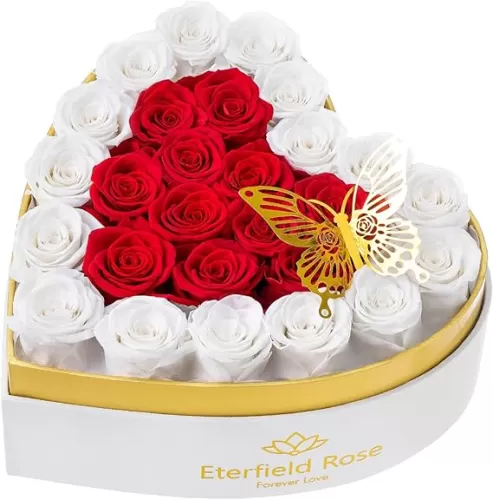 Eterfield 27-Piece Forever Flowers in Heart Shape Box, Preserved Roses That Last Over a Year Preserved Flowers Birthday Gifts for Her Women Mom Wife Anniversary (Red)