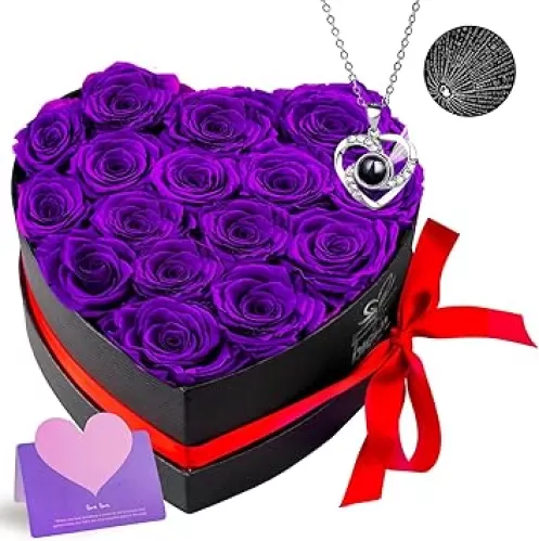 Extra Large 16 Preserved Roses Forever Flower Heart Shape Box Gifts with Necklace for Her Women Girlfriend Wife Mom Christmas Valentines Day Birthday Anniversary