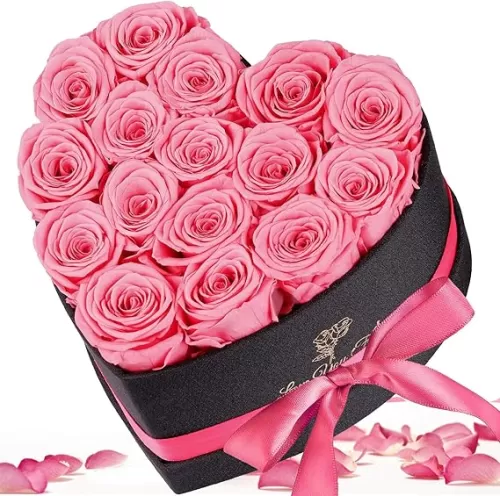 Forever Flowers, 16 Fresh Preserved Rose in Heart Shape Box for Delivery Prime, Eternal Rose for Her Birthday Pink