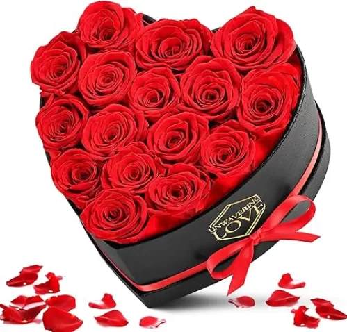 Gift for Mom Red 16Pcs Eternal Preserved Roses Flowers in Heart Shape Box Mothers Day Birthday Gifts for Mom Women