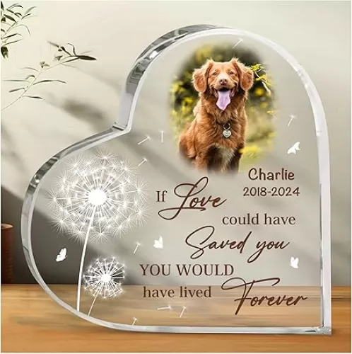 HYTURTLE Personalized Acrylic Heart Shaped Plaque - Pet Memorial Keepsake Decor, Sympathy Gifts for Loss of Dog or Cat
