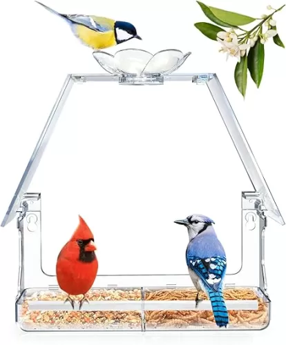 Large Window Bird Feeder with 2 Strong Suction Cups & 2 Non-Marking Adhesive Hooks, Clear View Bird Watching Gift for Bird Lovers & Cats, Bird House-Shaped Design Decor
