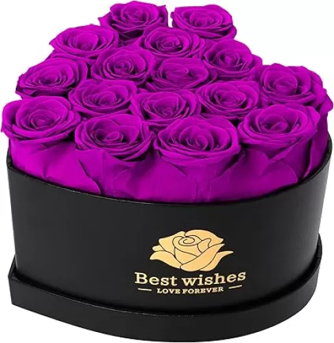 Mothers Day Rose Gifts for Her, Birthday Gifts for Women, 16 Pcs Preserved Purple Roses for Her in Heart Shape Box, Preserved Fresh Flower for Mom, Preserved Roses Flowers for Wife, Mom, Grandma, Anniversary