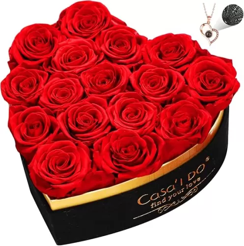 Mothers Day Roses Gifts for Her, Forever Real Roses 16 Pcs, Preserved Flowers in Heart Shape Box with Necklace, Flower for Valentines Anniversary for Mom Wife Girlfriend, Pink
