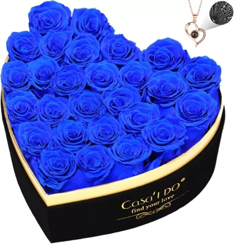 Mothers Day Roses Gifts for Her, Forever Real Roses 27 Pcs, Preserved Flowers in Heart Shape Box with Necklace, Flower for Valentines Anniversary for Mom Wife Girlfriend, Red