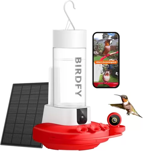 NETVUE by Birdfy Hummingbird Feeder with 2 Cameras Solar Powered - Dual Smart Cams, 2K HD Wireless for 2 Angels Close-up Bird Watching Outdoor, Instant Notifications (20Oz) (Hum Duo AI Solar)