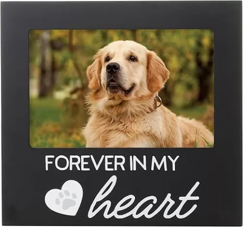 Pearhead Forever In My Heart Pet Memorial Keepsake Picture Frame, Ideal Remembrance and Sympathy Gift for Dog and Cat, Pet Loss Keepsake Photo Frame, Black