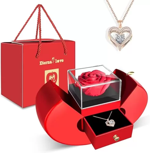 Preserved Flower Red Rose with Heart Necklace, Gifts for Mom, Girlfriend, Women, Wife, Grandma on Christmas, Valentine