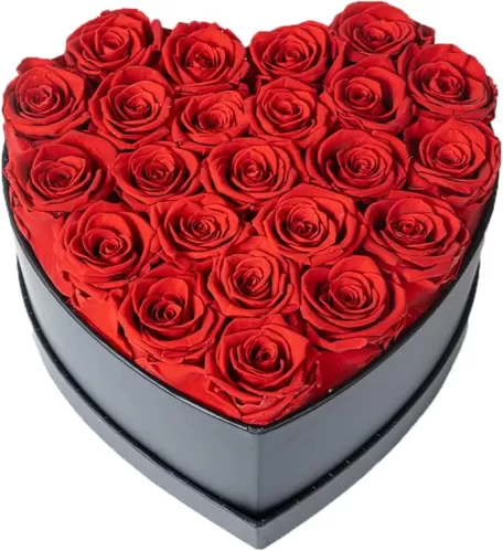 Preserved Flowers Heart Shape Box 23 Preserved Roses, Immortal Red Roses Gift for Him Her, Eternal Fresh Flowers for Fathers Day Men Women Valentines Day Gifts for Dad