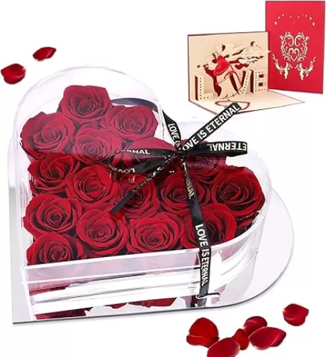 Preserved Flowers in Heart Shape Acrylic Box, 16Pcs Eternal Roses, Fresh Forever Roses, Birthday Gifts for Women, Wife, Her, Mother