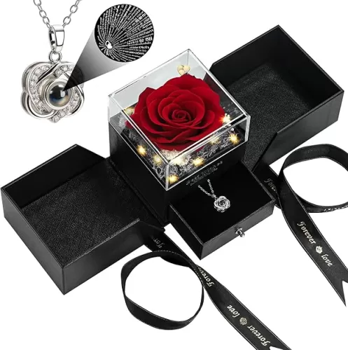 Preserved Real Red Rose with I Love You Heart Necklace 100 Languages - Eternal Flowers Rose Birthday Gifts for Women, Wife, Mom, Girlfriend - Valentine
