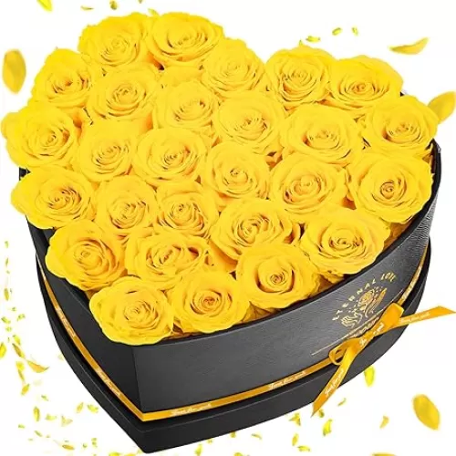 Preserved Rose in Heart Shape Box, 27 Forever Flowers, Eternal Roses, Birthday Gifts for Women, Her, Wife Mother