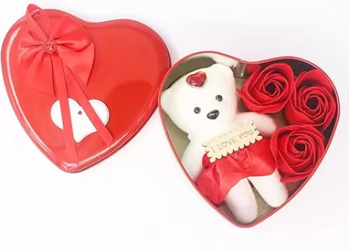 Red Roses Handmade Preserved Roses in Heart Shape Box, 3 Pcs Rose Flower with I Love You for Her, Valentine
