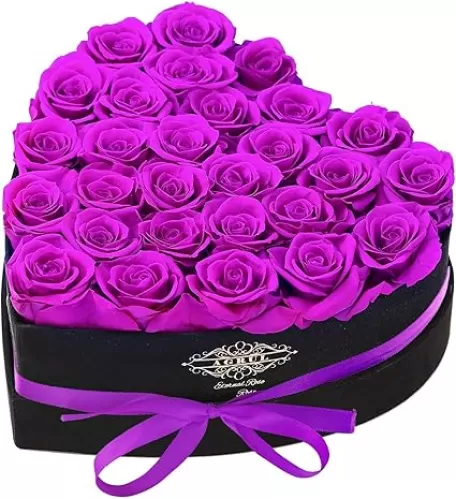 Roses Gifts for Her, Forever Preserved Flowers Roses In a Heart Shape Box, Gifts for Wife Women Mom/28Pcs Purple