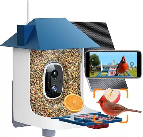 Smart Bird Feeder with Camera, AI Identify 11000+ Birds Species, 2K Bird House Camera Solar Powered, Auto Capture Video& Instant Arrival Alert, 2L Large Capacity, Ideal Gift for Birdlover