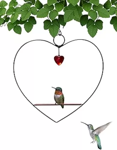 Songbird Essentials Hummingbird Swing, Tweet Heart Birdie Swing, Black Metal Hummingbird Perch