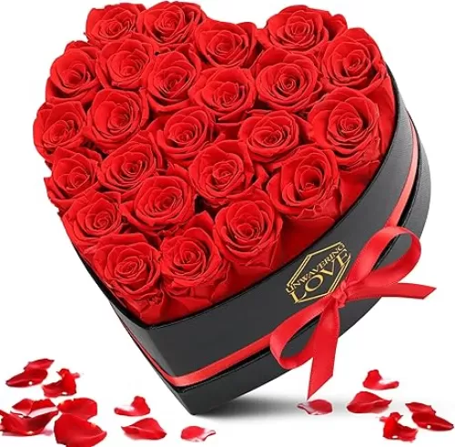Valentines Day Gift for Her Red 24Pcs Eternal Preserved Roses Flowers in Heart Shape Box Mothers Day Anniversary Birthday Gifts for Mom Women