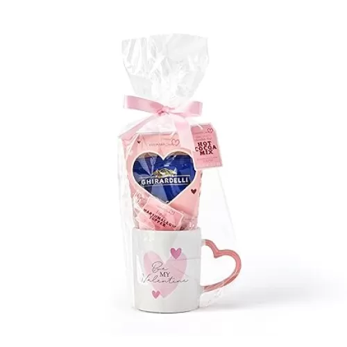 Will You Be My Valentine Gift Set, Made with Ghirardelli Hot Chocolate Mix, Includes Heart-Handled Ceramic Mug and Hot Chocolate Marshmallow Topper