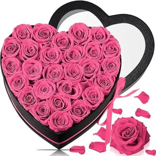 Yunlly 27 Pcs Preserved Roses in Heart Shape Box Eternal Real Flowers Immortal Roses Bouquet Long Lasting Flowers Box Gift for Mother Wife Girlfriend Birthday Anniversary (Pink)