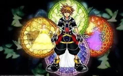 Bingirl 4067 Kingdom Hearts Poster Print on Waterproof Canvas Gallery Wrap 24x38 Inches