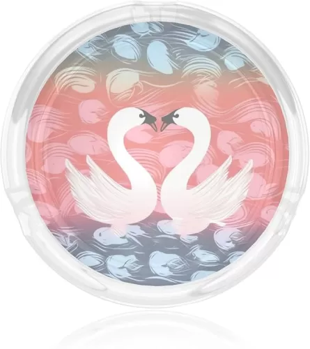 Love swan and heart shape Glass Ashtrays for Cigarettes Round Ash Tray Portable Heavy Duty Ash Holders Cute Crystal Ashtray Decorative Ashtray for Home Office Indoor Outdoor