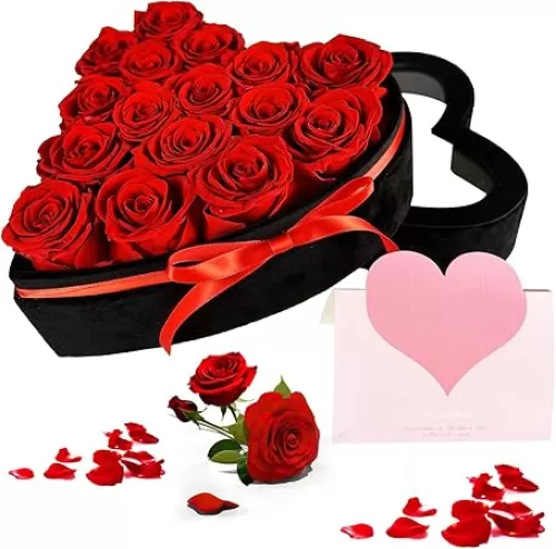 16-Piece Preserved Flower Real Rose in Luxury Suede Heart Shape Box, Birthday Gifts for Mom, Women, Wife, Prime Eternal Roses Gift for Mothers Day, Valentines, Anniversary, Wedding, Christmas