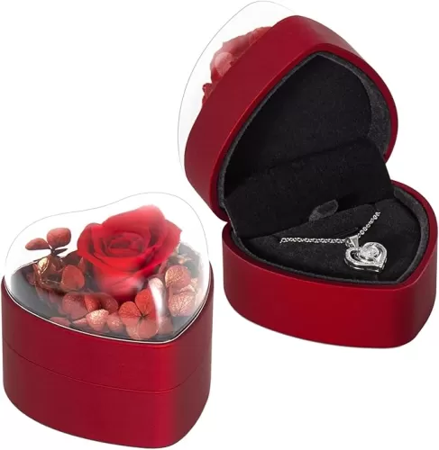 Engagement Necklace Box for Proposal Promise, Eternal Flowers Rose Gifts for Valentines