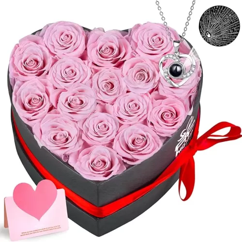 Extra Large 16 Preserved Roses Forever Flower Heart Shape Box with Necklace, Valentines Day Gifts for Her Women Girlfriend Wife Mom Thanksgiving Birthday Anniversary Valentines Mothers Day