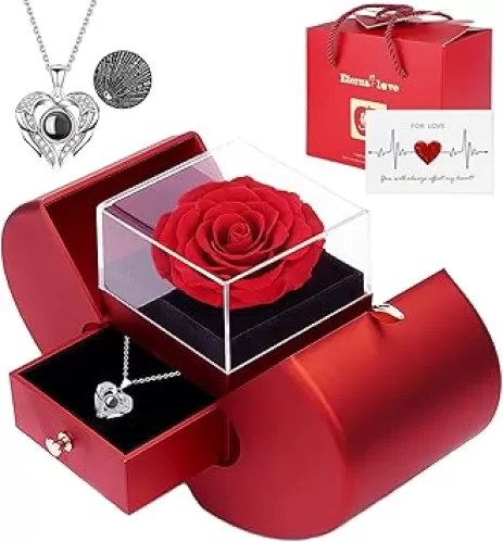 Preserved Real Rose with I Love You Necklace 100 Languages, Gifts for Girlfriend, Women, Mom, Wife, Gifts Idea on Christmas, Valentine
