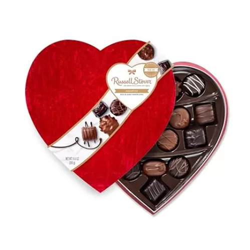 Russell Stover Assorted Milk and Dark Chocolates Velvet Heart shape box Valentine collection