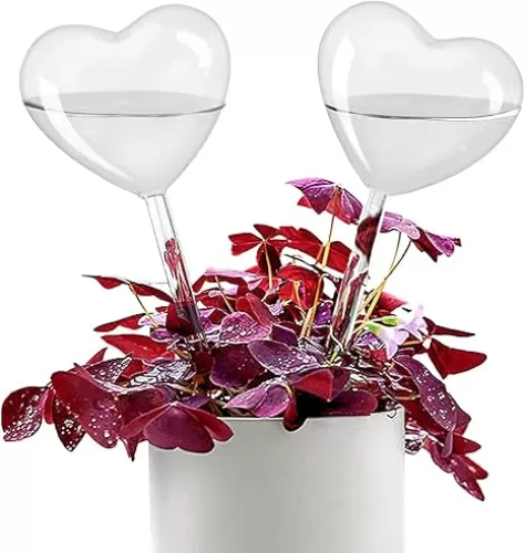 KiKiHeim Plant Waterer Self Watering Globes, Hand Blown Clear Glass Plant Watering Globes, Water Bulbs for Indoor Outdoor Plant, 2 Hearts