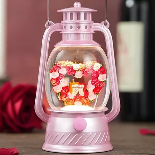 Valentines Day Gifts, Light Up Musical Snow Globes Lantern with Red Pink Roses Heart Shape Wreath, Wedding Valentine's Day Decorations Gifts