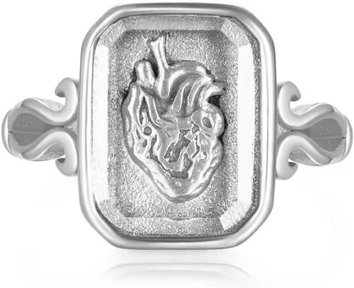 Anatomical Heart Ring Stainless Steel Faceted Crystal Zirconia Yours Heart for Women