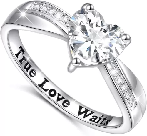 DAOCHONG S925 Sterling Silver True Love Waits Infinity Criss Cross Heart Engagement Wedding Ring for Women Girlfriend Wife