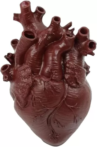 1 PCS Resin Heart Vase Anatomical Hearts for Flowers Human Heart Organ Shape Vases Unique Flower Vase Gothic Vases Desktop Home Decoration Decoration (Red)
