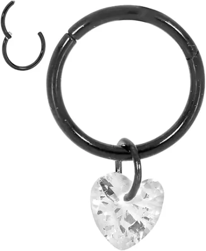 365 Sleepers 316L Surgical Steel Hypoallergenic 16G Gem Heart Septum Jewelry Hinged Segment Ring Body Piercing Hoop Lip Rings Helix Cartilage Rook Sleeper Earrings 8mm – 10mm
