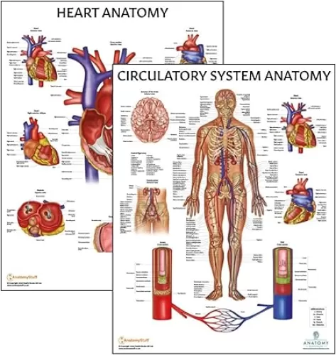 Anatomy Lab 2 PACK Circulatory and Heart Anatomy Poster Set, LAMINATED, Anatomy and Physiology Poster, 17.3 x 22.5 Inches, Anatomical Chart, Body Poster