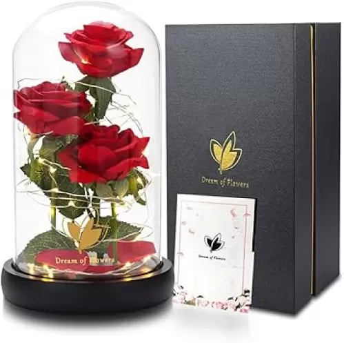 Beauty and The Beast Rose, Eternal Flower with 40 LED Lights Up in Glass Dome, Gifts for Mom, Birthday Gifts for Women, Wife, Girlfriend, Graduation, Anniversary, Christmas, Mothers Day-Classic Red Rose