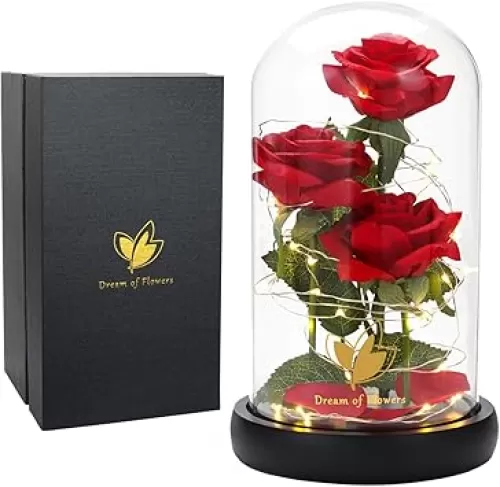 Beauty and The Beast Rose in Glass Dome with 40 Led Lights, Graduation Gifts, Anniversary Birthday Gifts for Women, Mom, Wife, Girlfriend, Silk Red Rose Flower Gift for You to Send Love for All Occasions