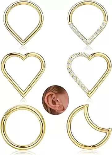 Besteel 6 Pcs Daith Piercing Jewelry Gold Hypoallergenic Cartilage Nose Conch Tragus Helix Hoop Piercing Jewelry Surgical Steel CZ Moon Heart Teardrop Seamless Hinged Clicker Septum Rings 16G