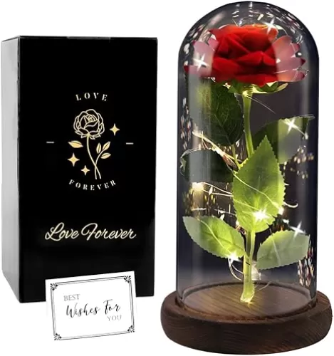 Birthday Rose Gifts, Rose Flower Gifts for Women, Beauty and The Beast Rose, Rose Flowers for Mother