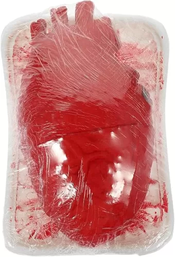 Fake Body Organ Prop Realistic Halloween Decor for Spooky Parties Plastic Heart Model for Horror Theme Events and Creative Play