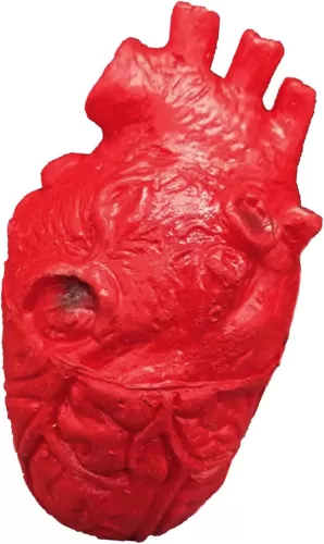 Human Heart Decoration For Halloween Event Realistic Frightening Model Ornament Haunting House Accessories